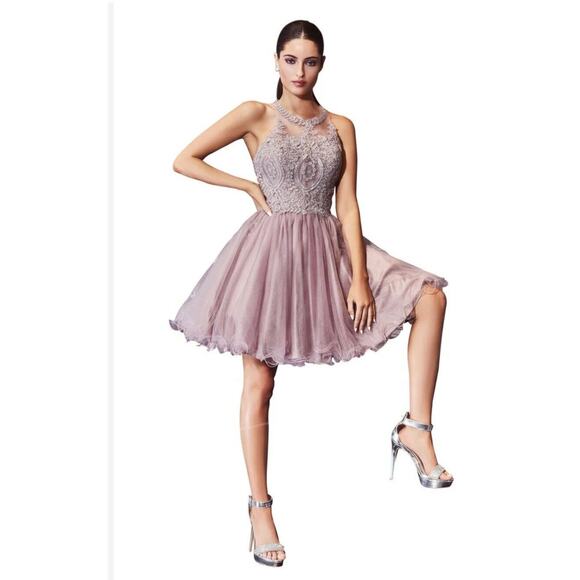 Short ForyouDress with Gray Applique for Homecoming Prom Birthday‎ Dama Party - Picture 1 of 16